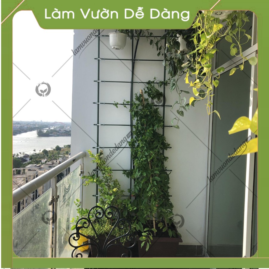 (combo 5)🤞 ỐNG THÉP BỌC NHỰA 🤞 - Dùng làm Khung Đỡ,Giá Đỡ Hoa Hồng Leo,Giàn Leo Bầu Bí Mướp,Khung cây thép