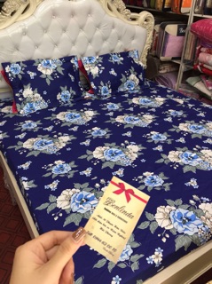 Ga gối cotton lụa ( cotton 100%)