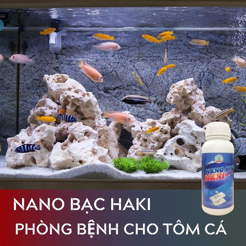 Nano Bạc Haki  đặc trị các bệnh và phòng bệnh cá cảnh, xử lý nước hồ cá bị nấm