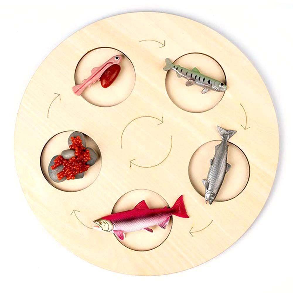 Bộ Đồ Chơi Giáo Dục Trẻ Em REBUY1 Gồm Cây / Động Vật / Cây Cối / Đồ Chơi Tăng Trưở