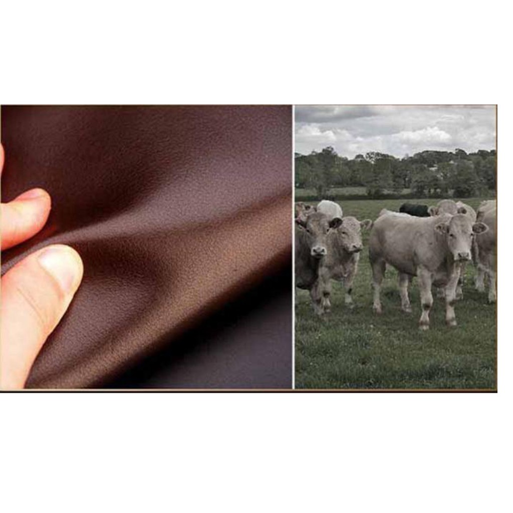 Ví Dài Nam Cầm Tay Sang Trọng Đẳng Cấp VIDAICONTHO02