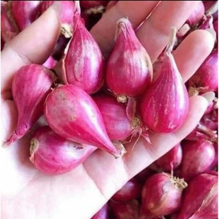 1kg hành tím lý sơn