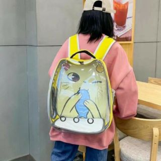 Balo Tai Mèo Trong Suốt