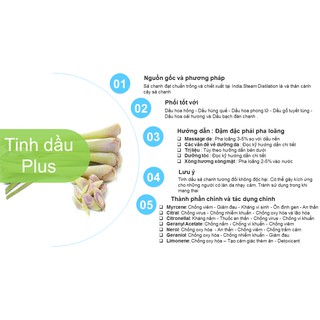 Tinh dầu sả chanh nguyên chất
