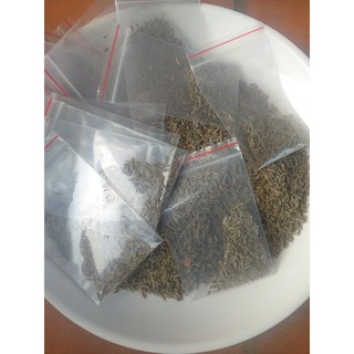 Hạt giống sâm đương quy