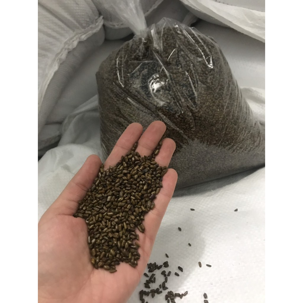 Combo 20kg hạt muồng loại 1