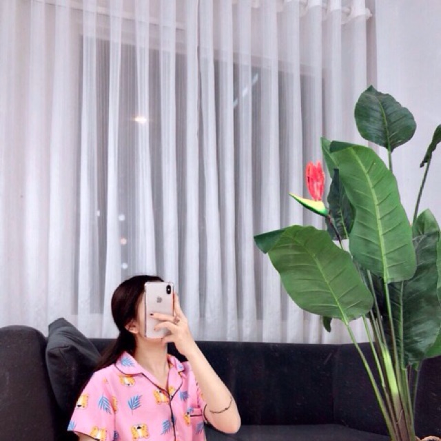 Đồ bộ kate thái dài cộc siêu kute giá rẻ 72k