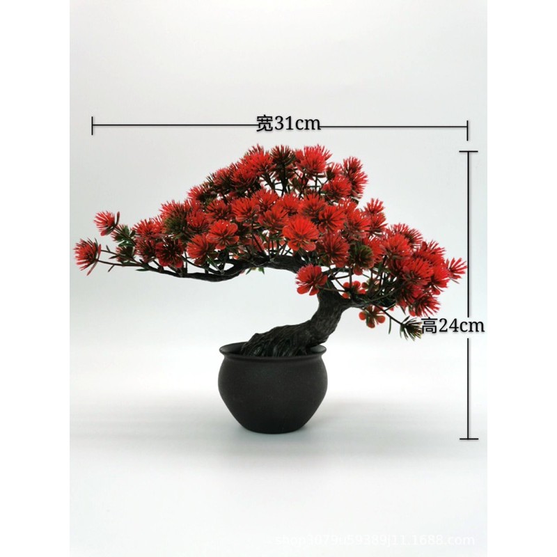 Cây cảnh trang trí nhựa bonsai