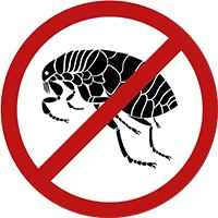 Dung dich diệt côn trùng ve kiến gián muỗi bọ chét một lần hết ngay - Bio Deltox 1lit