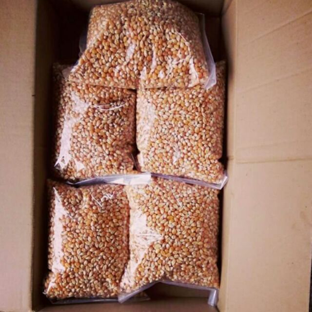 Combo 5kg Hạt Ngô Mỹ