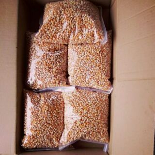 Combo 5kg hạt ngô mỹ