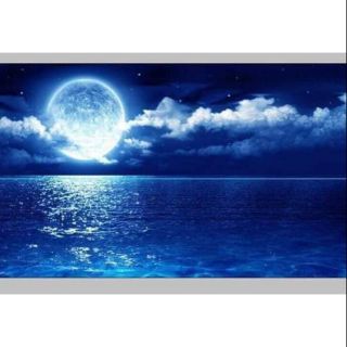 Tranh 3D bể cá kt 50x40cm, 60x40cm,90x50cm,100x50cm,120x60cm)