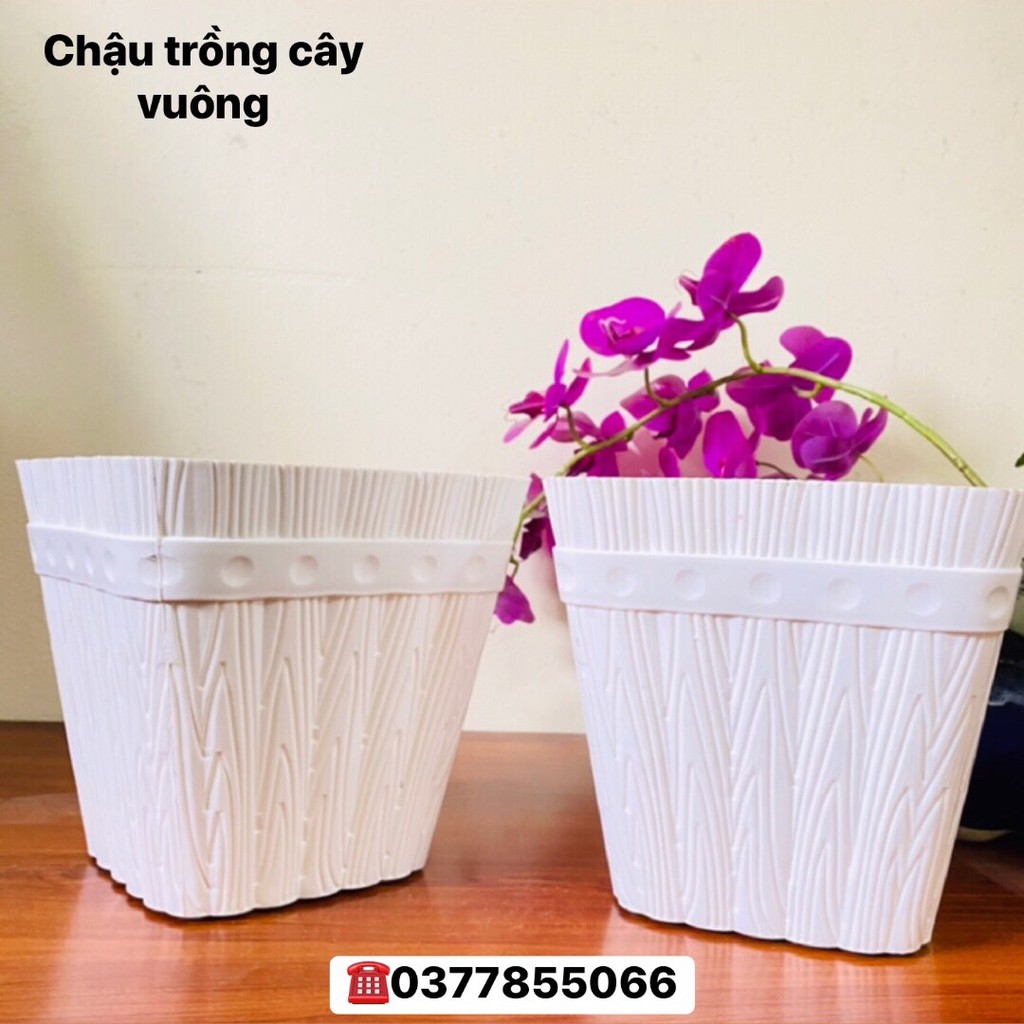 Chậu trồng cây hình vuông giả vân gỗ, bằng nhựa cứng dày 0.3cm, bền, chịu được nắng mưa cao, dùng 4-5 năm, size 22x22 cm