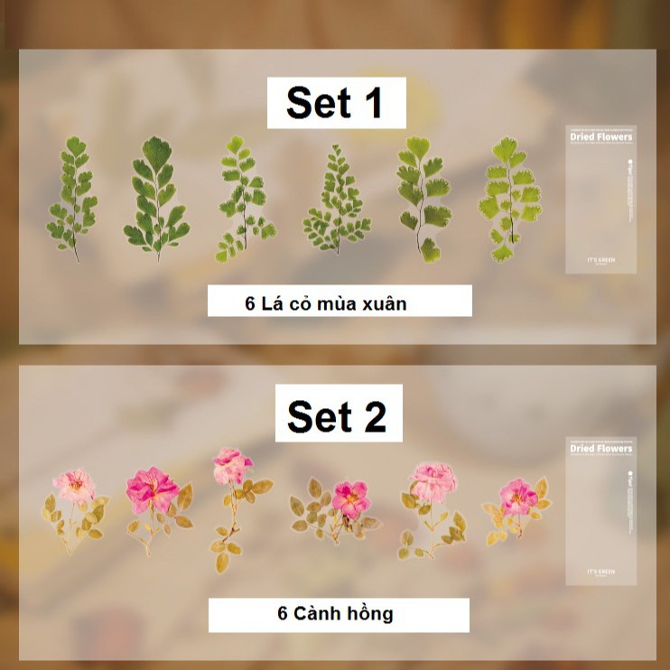 STICKER Hoa, Lá Ép Khô Trang Trí Set 6 tấm 10x20cm