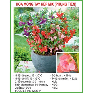 Hạt Giống Hoa móng tay kép Mix 50 Hạt/ Gói
