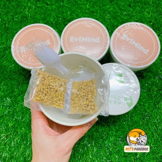 [RẺ VÔ ĐỊCH] Cỏ cho Mèo trồng cốc, cỏ tươi cho mèo kích thích tiêu hóa, tan búi lông. Có loại trồng sẵn & Cỏ tươi