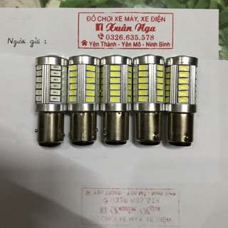 Đèn hậu nháy F1