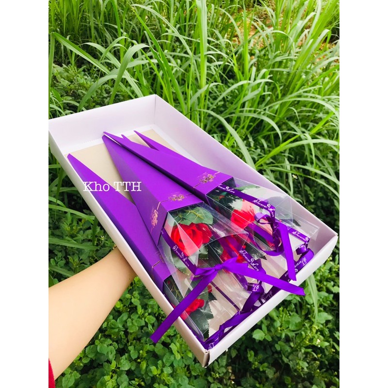 Hoa sáp, hoa nhũ hộp mika