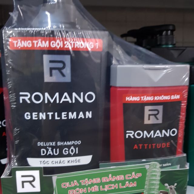 Tắm gội 2 trong 1 Romano