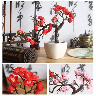 Hoa mận nhiều màu dùng trang trí nhà cửa tiện dụng