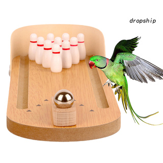 Bộ Đồ Chơi Bowling Cho Vẹt Cưng