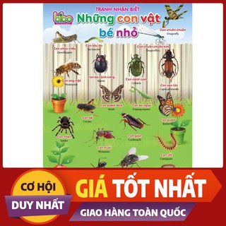 [Giá Tốt] Bộ tranh treo tường học tập 12 chủ đề song ngữ cho bé