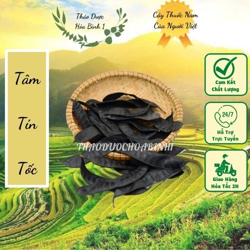 1 kg trái bồ kết khô organic gội đầu đẹp tóc.