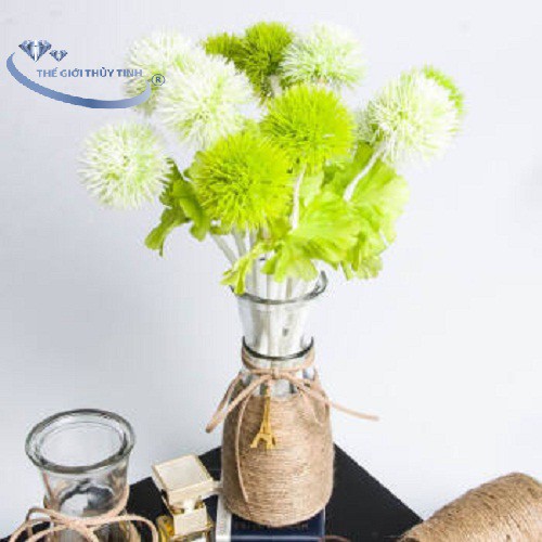 Bình Bông Lọ Hoa Thủy Tinh Trang Trí Eo Lớn