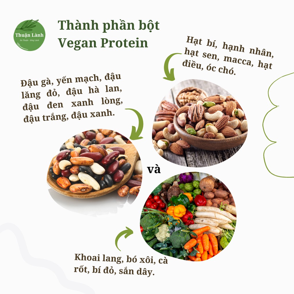 Vegan Protein - Bột rau củ đậu hạt - Thuận Lành | BigBuy360 - bigbuy360.vn