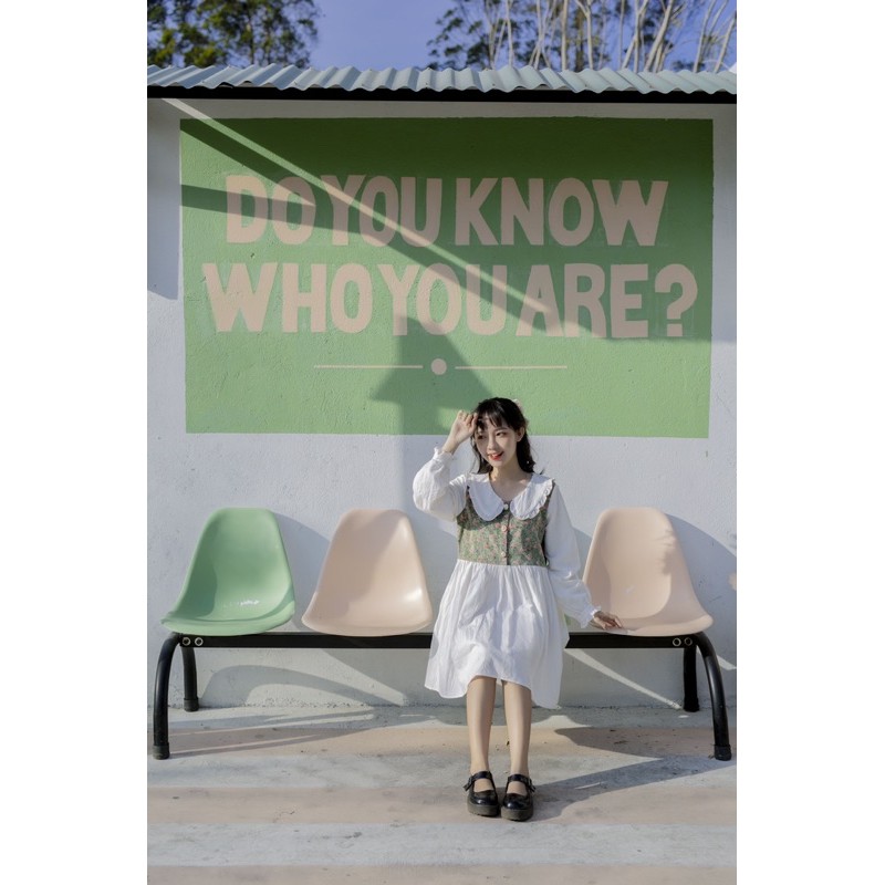 Đầm babydoll Lana phối hoa nhung cổ bèo CARROT FARM