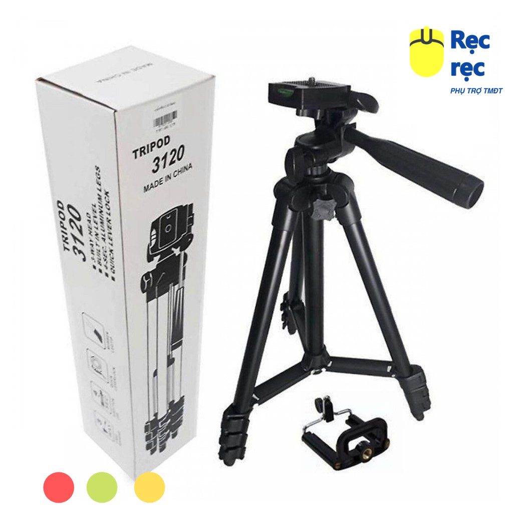 Chân máy ảnh Tripod 3110 tặng Giá kẹp điện thoại và Túi đựng