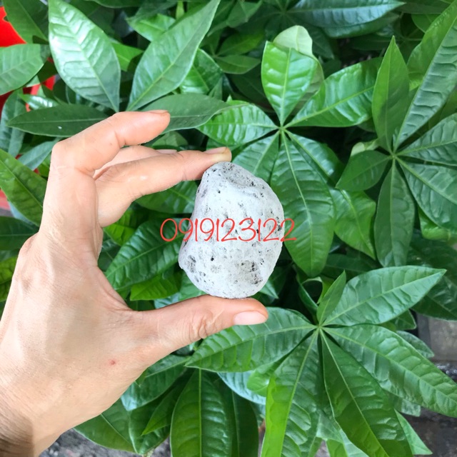 1 bao đá lông vũ, indo , pumi đủ size