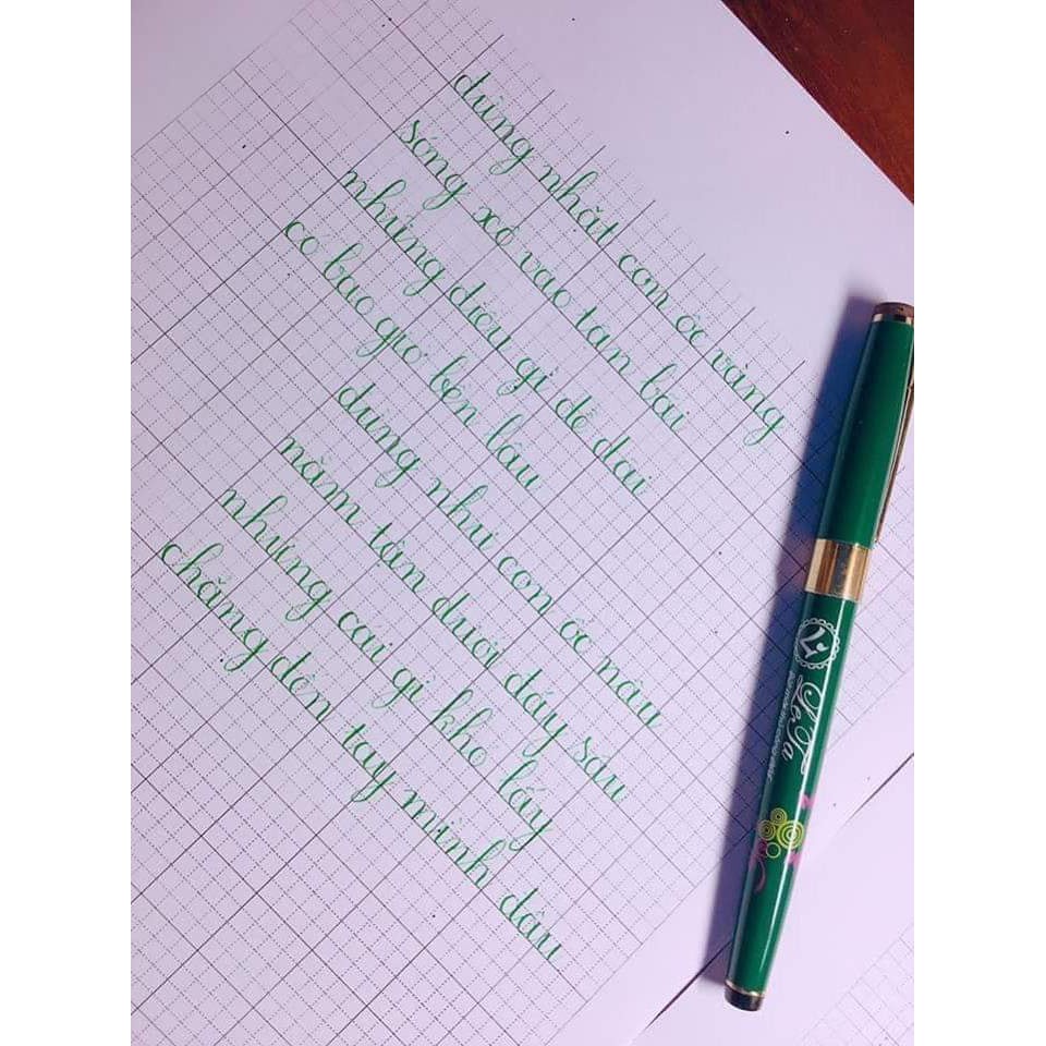 Bút Leta 005 ngòi hoa vàng siêu bền