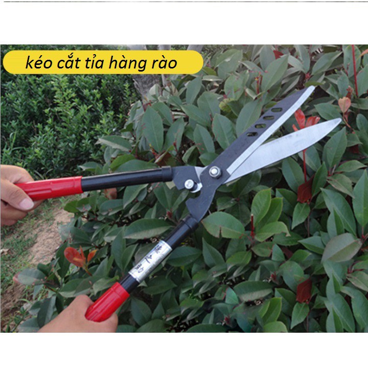 Kéo cắt tỉnh cành cây hàng rào cây cảnh cao cấp