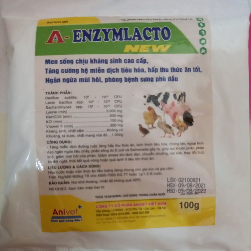enzymlacto men tiêu hóa sống chịu kháng sinh