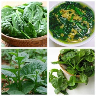 Bộ gói hạt giống Mồng tơi