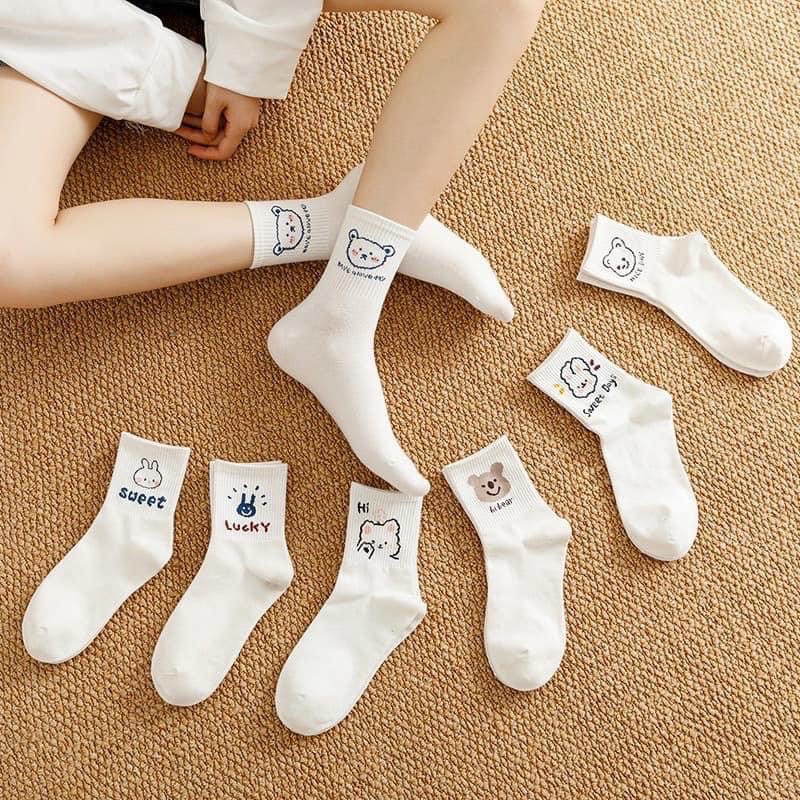 Set 5 đôi tất vớ nữ cổ cao hình gấu thỏ màu trắng len gân tăm cực đẹp hotrend BT7