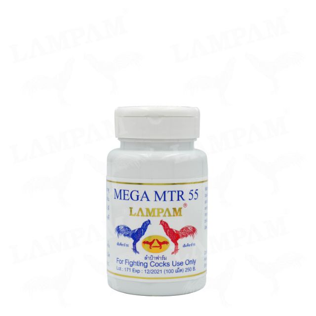 MEGA MTR 55 - NUÔI GÀ - THÁI LAN