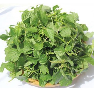 Hạt giống rau dền cơm - gói 10gram kns2348
