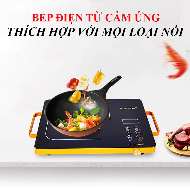 BẾP ĐIỆN TỬ HỒNG NGOẠI - BẾP ĐIỆN HỒNG NGOẠI RAYPOR - KHÔNG KÉN NỒI