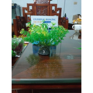 Cây nhựa trang trí bể cá