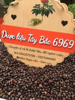 Hạt dổi nếp rừng (loại 1, 350-400 hạt)