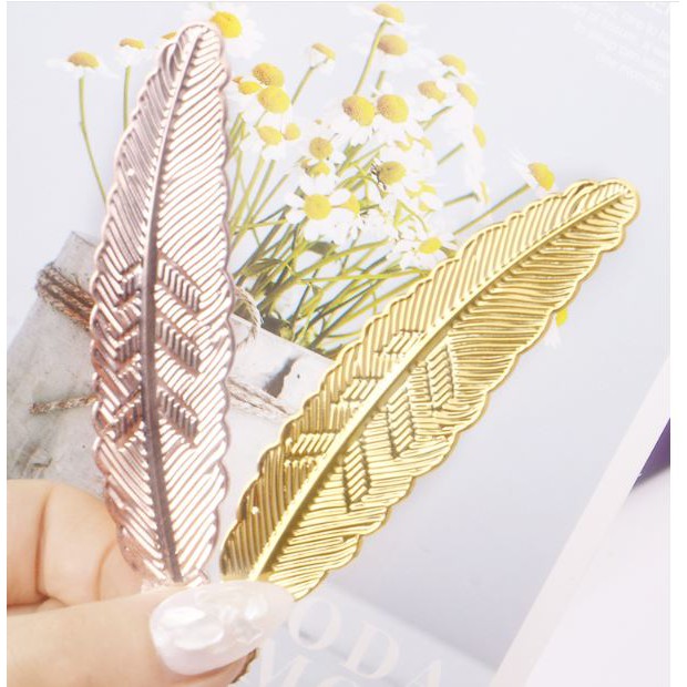 Lông chim chụp ảnh móng mẫu