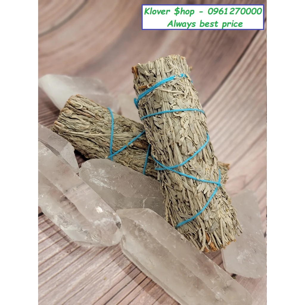 Xô xanh - Blue sage - Hút tài lộc - Thanh tẩy