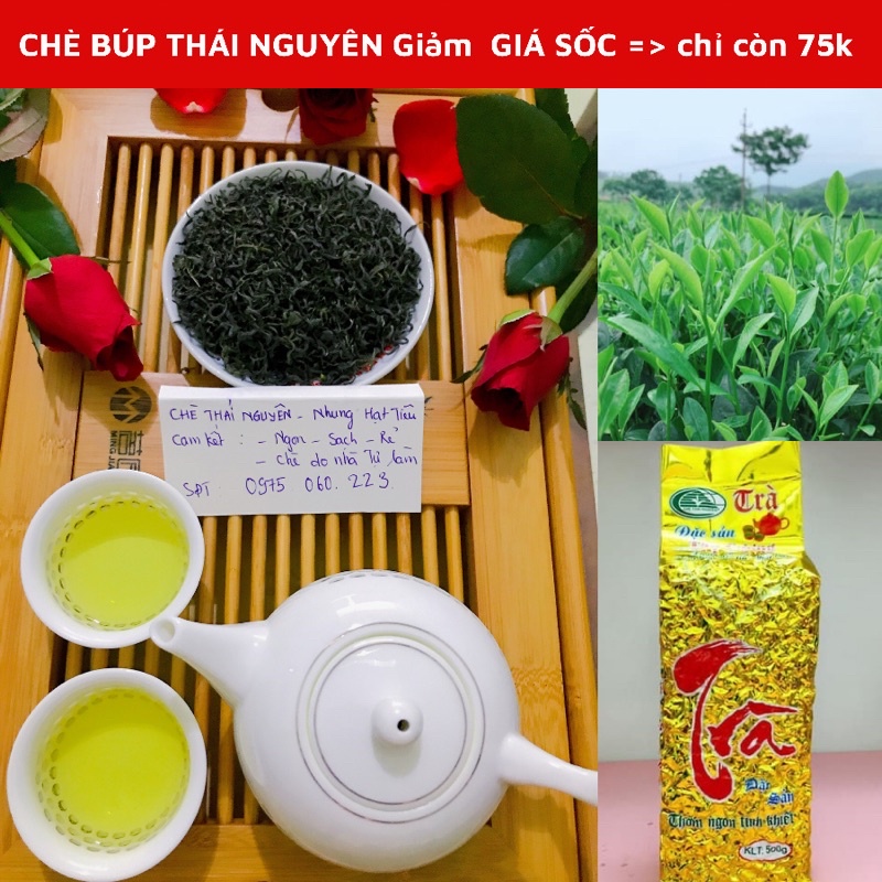 CHÈ BÚP THÁI NGUYÊN, Chè cành lai F1, Chè ngon , Trà đặc sản thái nguyên, Trà xanh