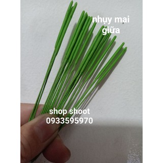 Nhụy mai đất sét( nhụy xanh non giữa bông hoa)