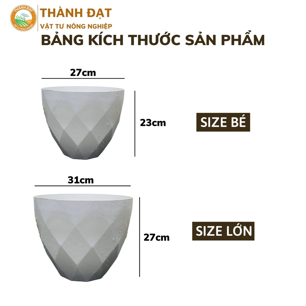 Chậu trồng cây, chậu nhựa trồng cây kim cương 2 kích thước