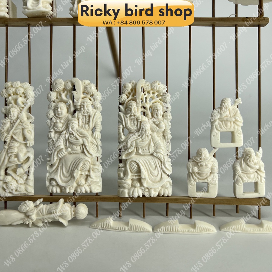 Bone set for Puteh bird cage - Samkok design - Phụ kiện chim Ricky bird shop
