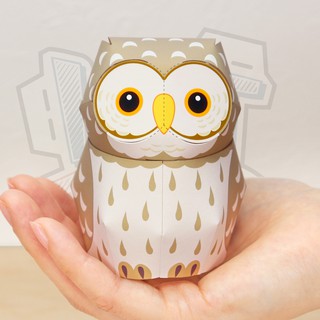 Mô hình giấy động vật Chim Cú con