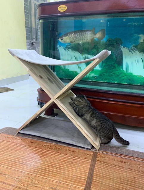 Võng mèo tích hợp bàn cào hoàn hảo